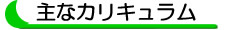 主なカリキュラム